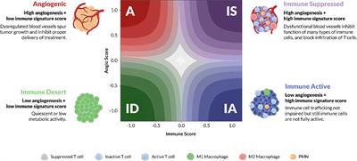 Xerna™ TME Panel is a machine learning-based transcriptomic biomarker designed to predict therapeutic response in multiple cancers